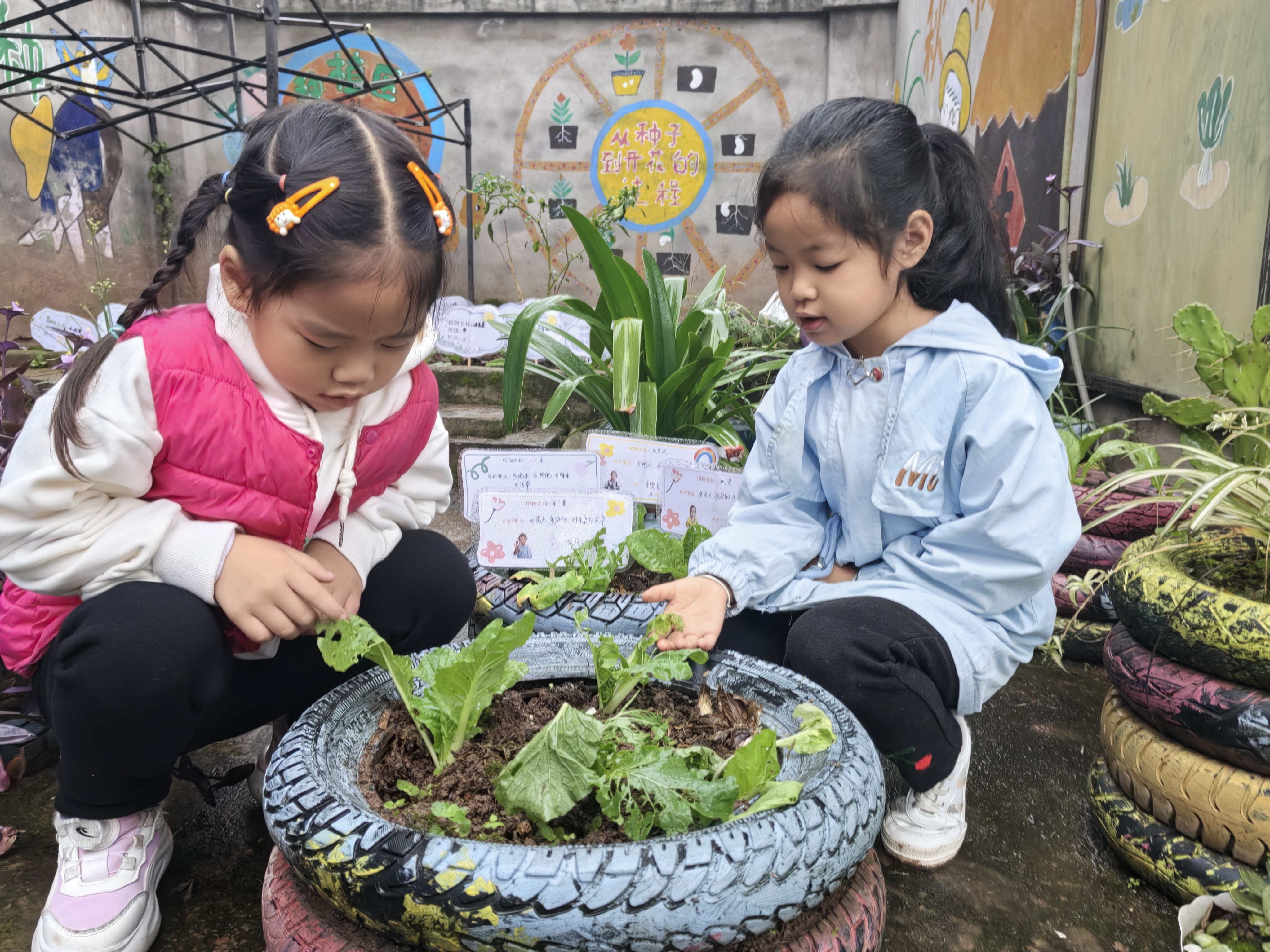 【种植区惊险事件】谁咬了我们的宝贝？